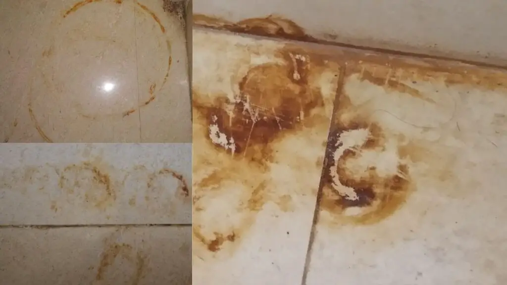 What Happens If You Don't Seal Porcelain Tiles